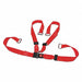 Strap Red 7 ft L