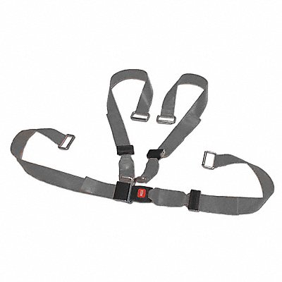 Strap Silver 6 ft L