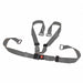 Strap Silver 6 ft L