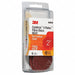 Quick-Change Sanding Disc 4 in Dia TS