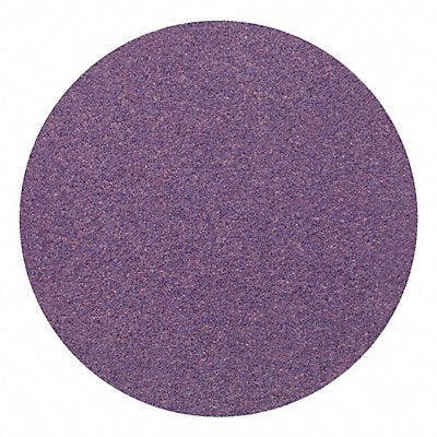 Hook-and-Loop Sanding Disc 5 in Dia