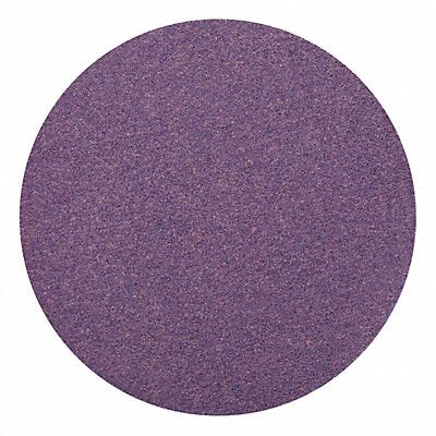 PSA Sanding Disc 6 in Dia 80 G