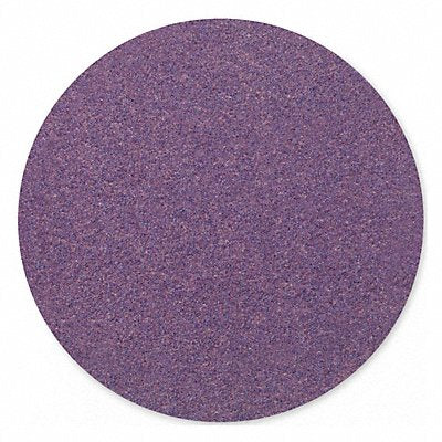 PSA Sanding Disc 5 in Dia 180 G