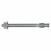 Wedge Anchor 3/4 -10 SS 3/4 in PK10