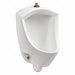 Washout Urinal Wall Top Spud 0.125