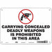 Safety Sign 7 in x 10 in Polyethylene