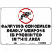 Safety Sign 10 in x 14 in Polyethylene