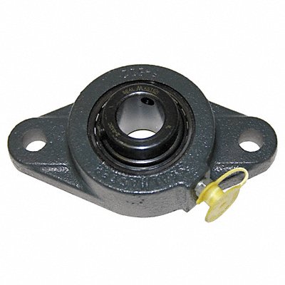 2 Bolt Flange Brg Radial Ball 3/4in Bore