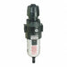 Filter/Regulator 1/2In