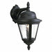 Decorative Wall Light INC 100W