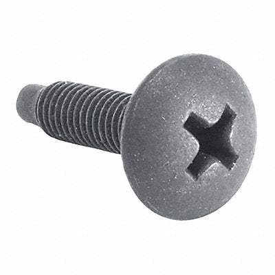 Phillips Screws Black 10-32 500PK