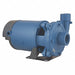 Booster Pump 1/3 hp 1 Phase 115/230V AC