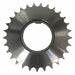 Sprocket/Bushing 29 Teeth 2-41/64in Bore