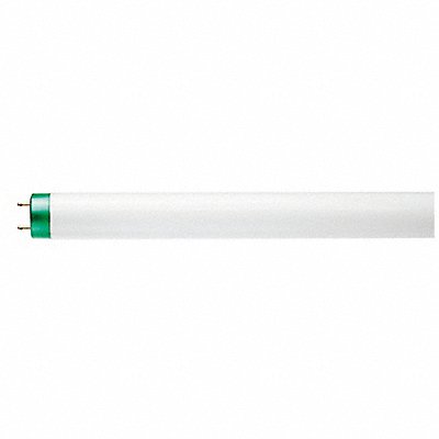 Fluorescent 40 W T8 Medium Bi-Pin (G13)