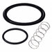 Valve Repair Kit