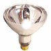 Incandescent Bulb R40 300 lm 125W