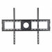 Monitor Mount 33 lb Load Capacity