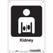 Safety Sign 10 in x 7 in Polyethylene