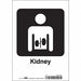 Safety Sign 10 in x 7 in Vinyl