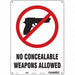 Safety Sign 14 in x 10 in Polyethylene