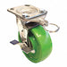 Standard Plate Caster Swivel 900 lb.