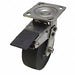 Standard Plate Caster Swivel 880 lb.