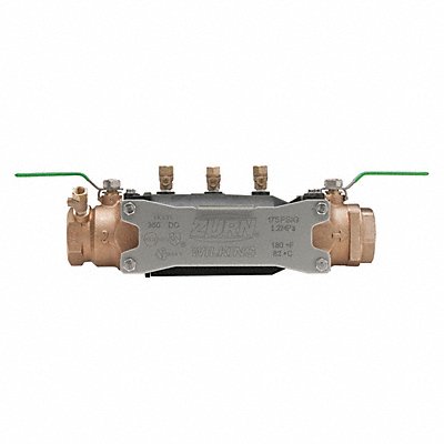 Backflow Preventer 2 Size MNPT 175 psi