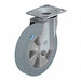 Standard Plate Caster Swivel 660 lb.