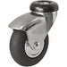 General Purpose Bolt-Hole Caster 3 