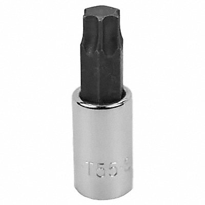 Socket Bit Steel 3/8 in TpSz T55