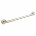 Grab Bar SS Brushed 48 in L