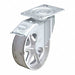 Standard Plate Caster Swivel 1250 lb.