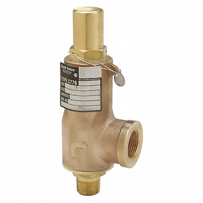 Relief Valve Bronze 250 psi 6-13/16 H