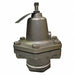 Steam Pressure Regulator 55 to 100 psi