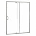 Shower Door and Panel Silver Pivot 69 in