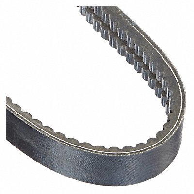 Banded Cogged V-Belt 2/BX78 81in