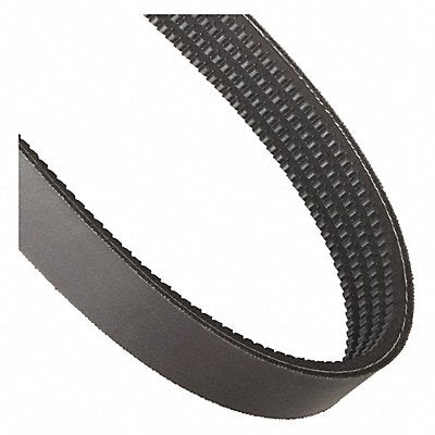 Banded Cogged V-Belt 4/3VX530 53in