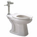 Flush Valve Toilet 10 Rough-In Floor