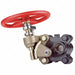 Gate Valve 1-1/4 in FNPT