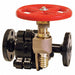 Gate Valve 1-1/2 in Flange