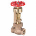 Gate Valve 3/4 in FNPT Bronze