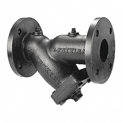 Y Strainer 10 H 0.062 Perf Cast Iron