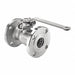 Ball Valve SS 150 lb Flange 3 in 720 CWP