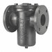 Basket Strainer 10 3/4 H 200 psi Bolted