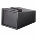 Security Safe Black 10 lb 0.89 cu ft.