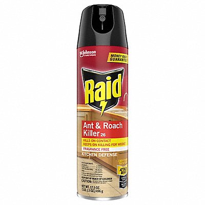 Ant/Roach Killer 17.5 oz Spray Can