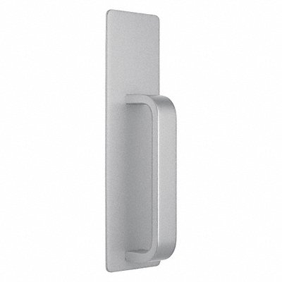 Exit Only Dummy Trim Aluminum