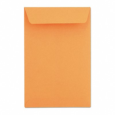 Catalog Envelopes 9 H 6 W PK500