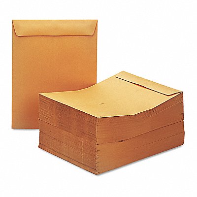 Catalog Envelopes 13 H 10 W PK250