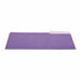 File Folder 1/3 Violet/Light Vlt PK100